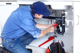 Best Trenchless Pipe Repair  in Boulevard Park, WA